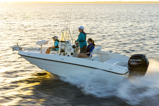 Bayliner Element Yacht for Fishing in India