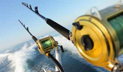 saltwater rods reels