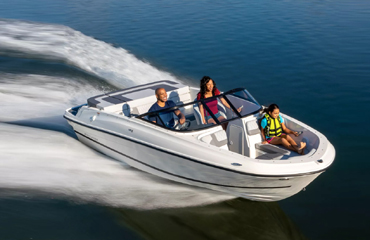 Bayliner  M19