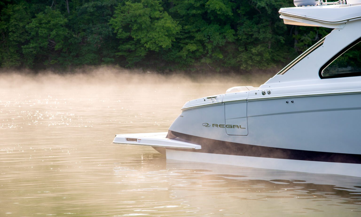Sterndrive Bowrider Regal LS36